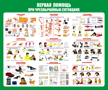 С20-1 Стенд Оказание первой помощи при ЧС (670х800 мм, пластик ПВХ 3 мм, алюминиевый багет серебряного цвета) - Стенды - Стенды по первой медицинской помощи - Магазин охраны труда Протекторшоп